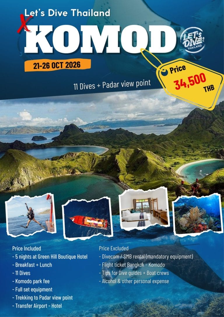 2026-Komodo (Indonesia) 11 Dives + จุดชมวิว Padar