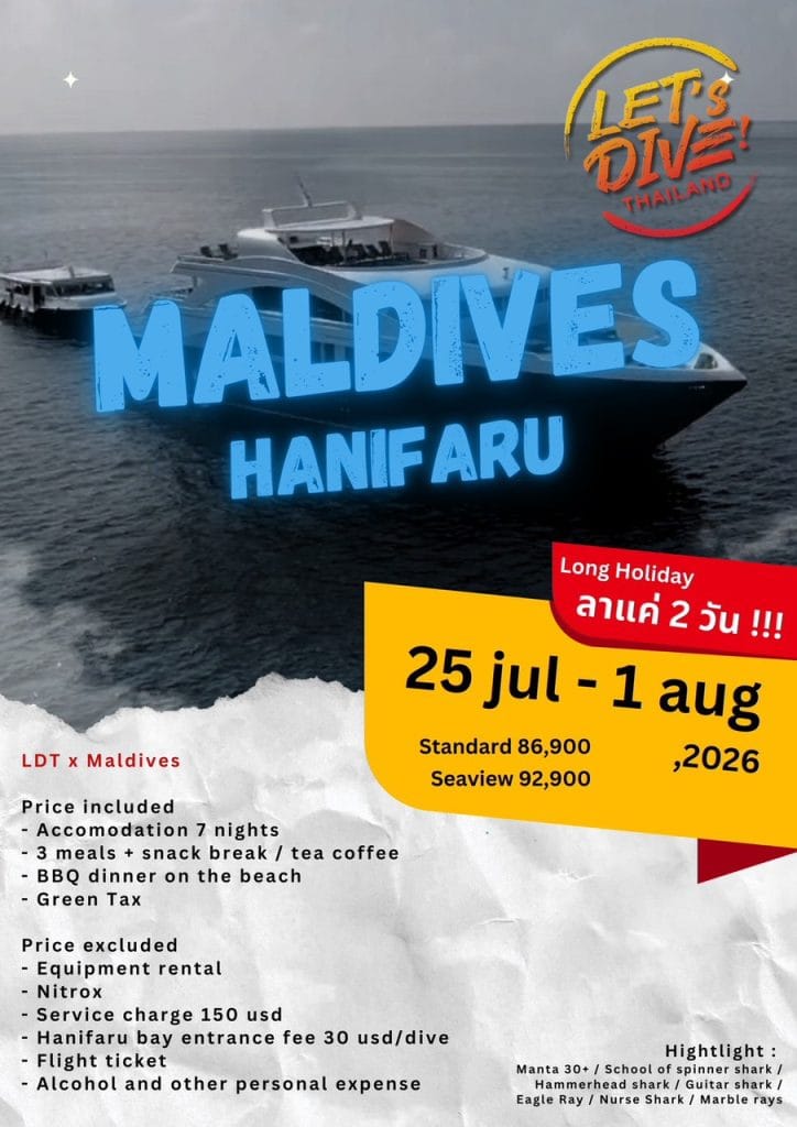2026-Maldives (Hanifaru Bay) ดู Manta 30+ ตัว