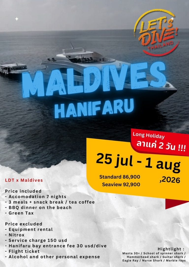 2026-Maldives (Hanifaru Bay) ดู Manta 30+ ตัว