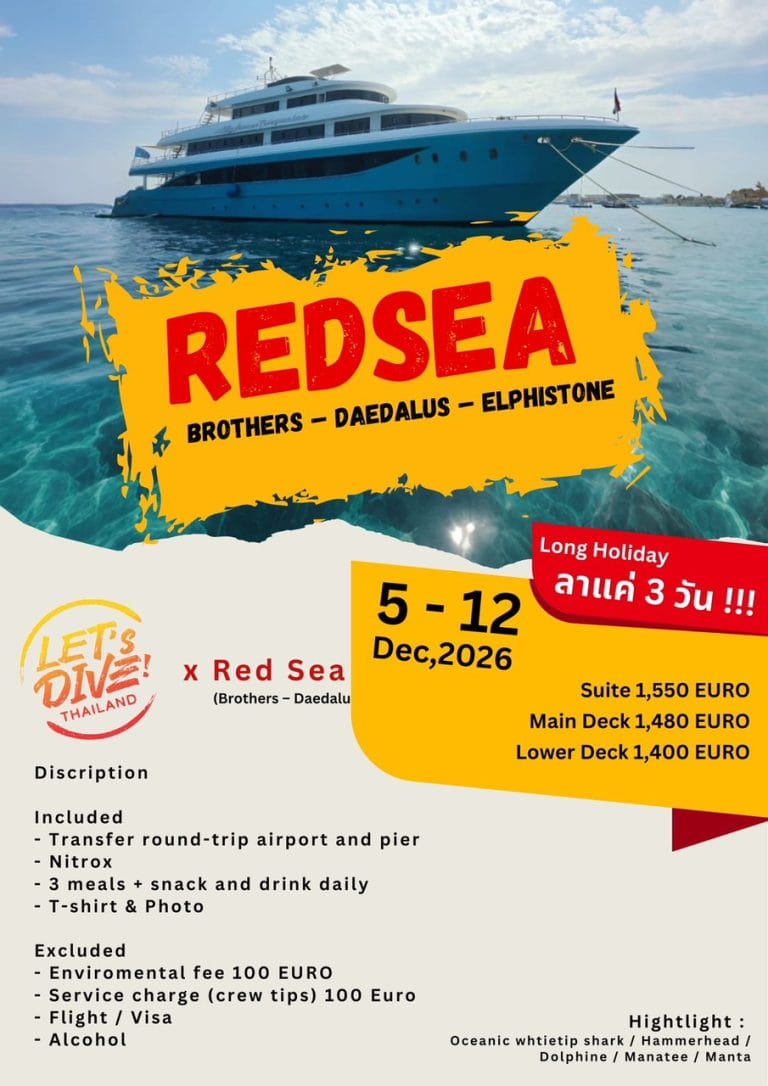 2026-Red Sea (Egypt) เส้นทาง Brothers-Daedalus-Elphistone (Long Holiday)