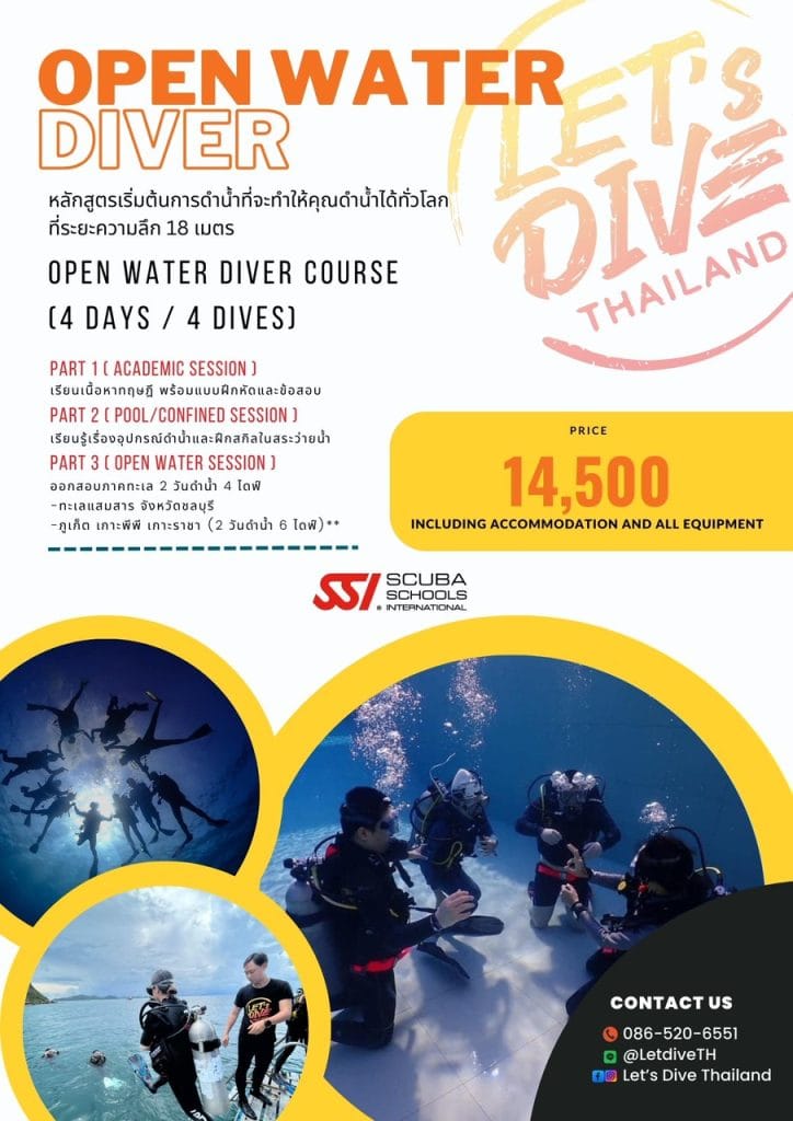 เรียนดำน้ำลึกคอร์ส Open Water Diver ก้าวแรกสู่โลกใต้น้ำ ราคา 14,500 บาท ในไทย